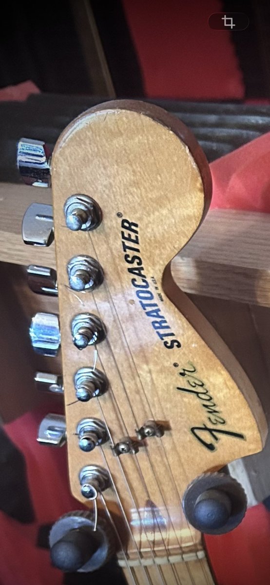 Guitarbizon tweet media
