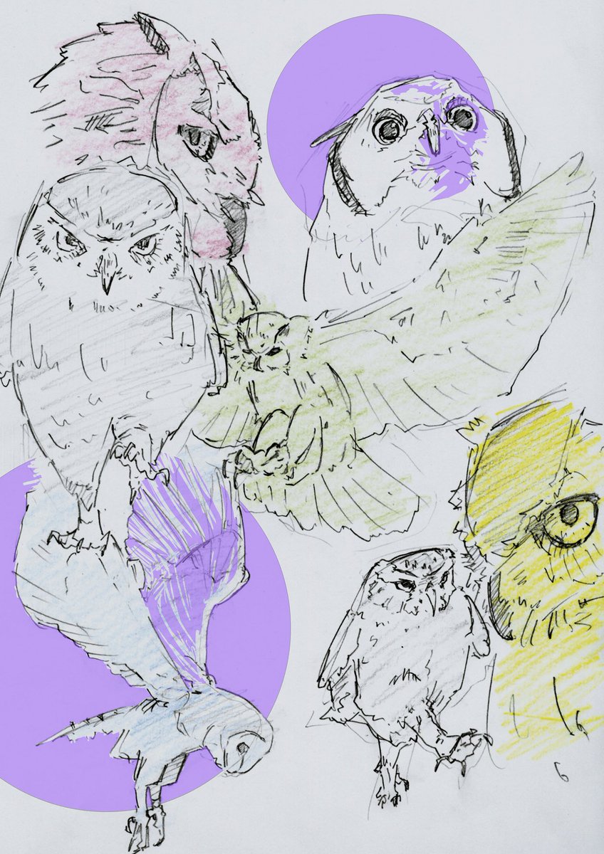 tomkom32617's tweet photo. Pinterest ラクガキ https://t.co/rYqUoEl44L