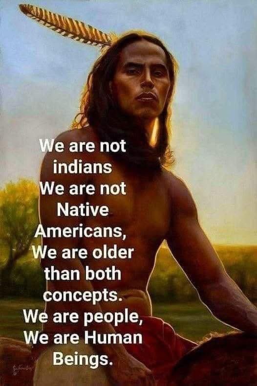 Native American tweet media