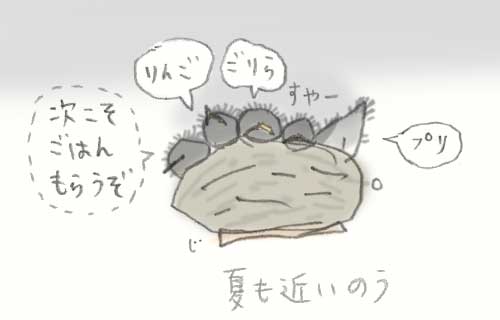 1日おきメモ（中原じゅん子） tweet media