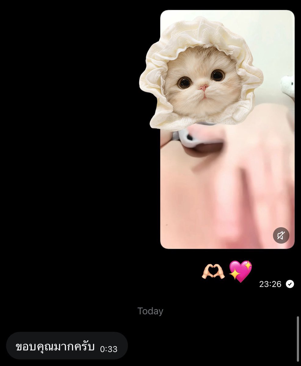 aimmmmmp's tweet photo. ลูกค้าใหม่ ได้คลิปลั่นทุกคน 👅💦
เดมมาเลยค่ะ #พร้อมตอบมาก https://t.co/XnIBLZIXJ5