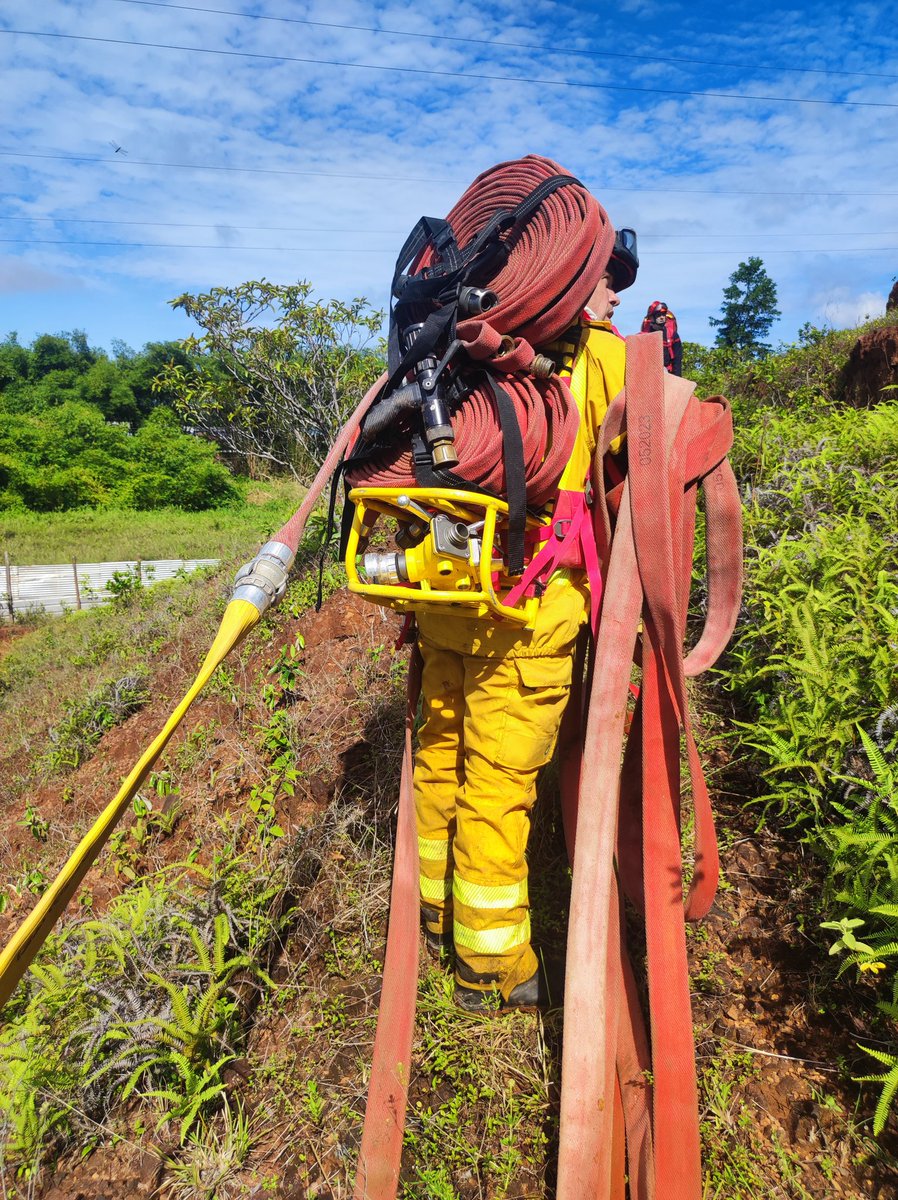 Sdis973's tweet photo. Les 🧑‍🚒 @Sdis973 et @PompiersParis  formés aux #FeuxdeForets 🔥🪾🌳🌴 pendant une semaine sur les secteurs #Kourou et @ville_macouria
✅ 20 stagiaires FDF 1 et 2
✅ 1 GIFF 🚒
✅ Préparation saison sèche https://t.co/lbaxdftTnq