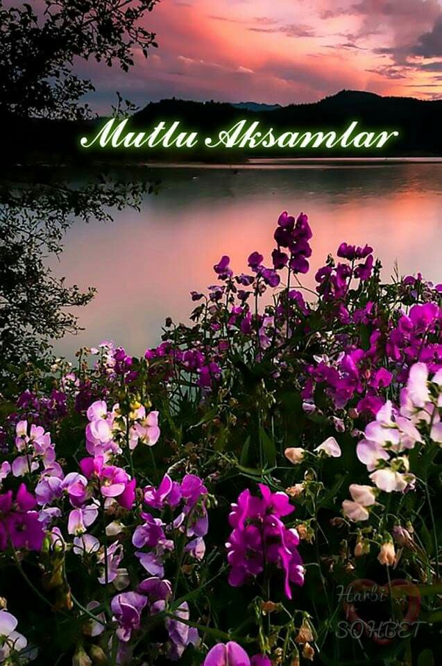 AlagozogluErkan's tweet photo. Gönlünüzce bir tatil akşamı olması dileklerimle https://t.co/DYGKQ8VxWc