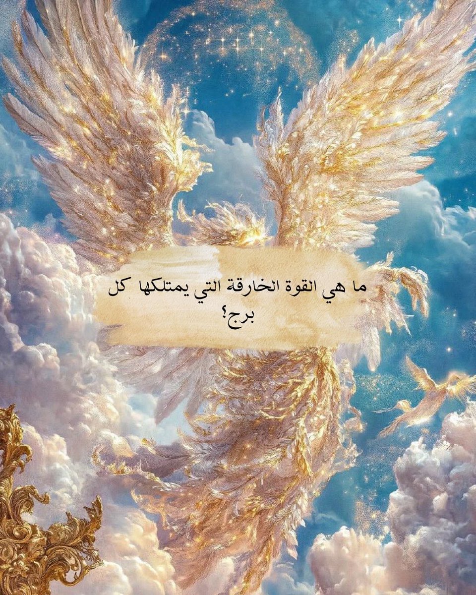 كائن الزواوي tweet media