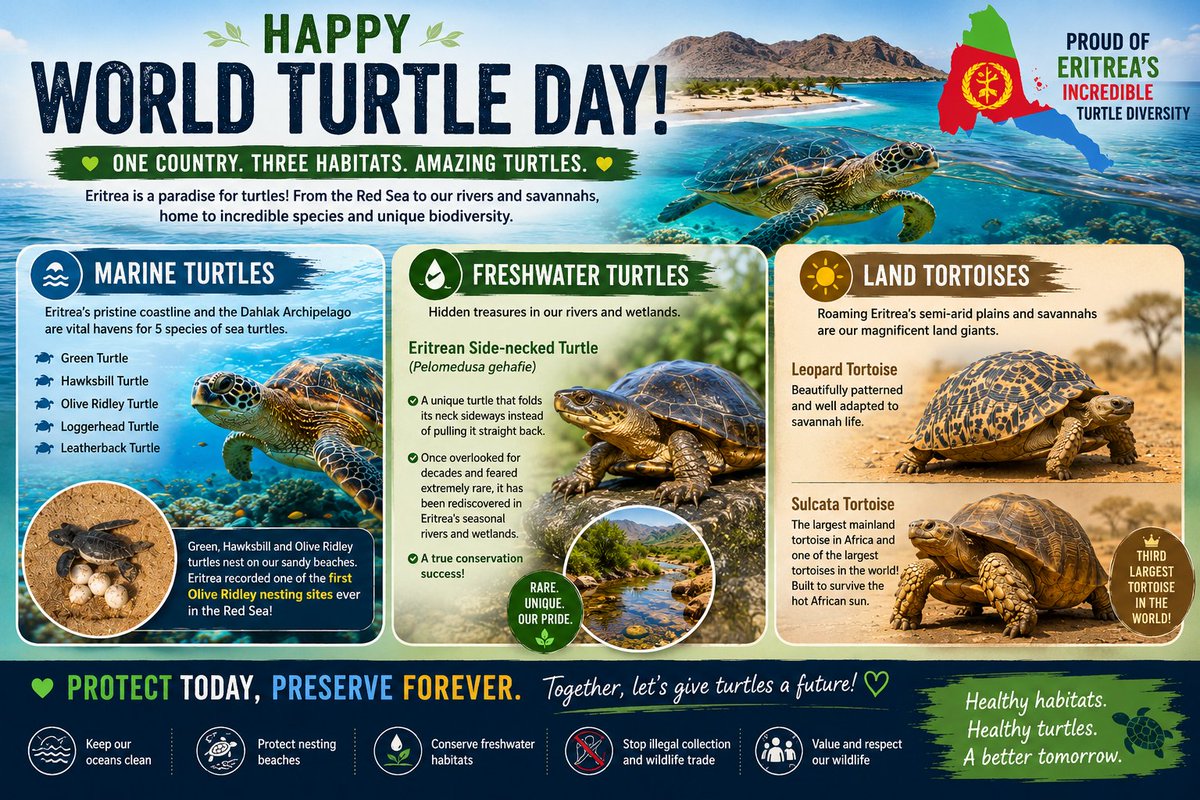 RuthKaleab's tweet photo. 🐢 Happy World Turtle Day! 🌍🇪🇷

One country. Three habitats. Amazing turtles. 

#WorldTurtleDay #Eritrea #Biodiversity https://t.co/9ZiKJjLJKW