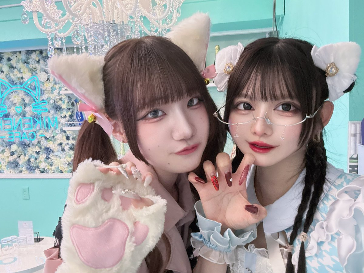 うに@みけねこカフェ秋葉原2nd tweet media