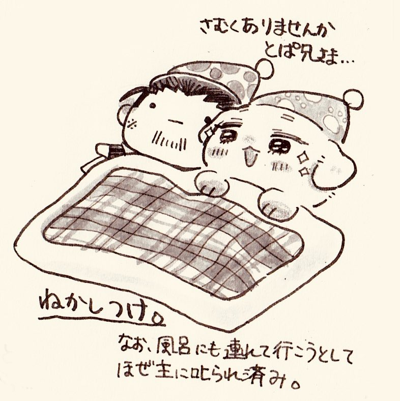 かぼす tweet media