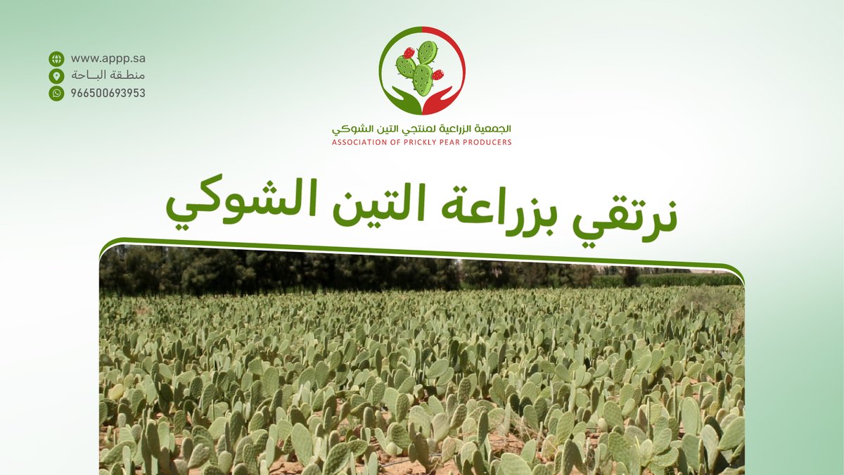 الجمعية الزراعية لمنتجي التين الشوكي tweet media