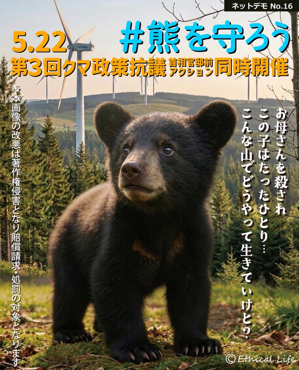 Catally299 tweet media