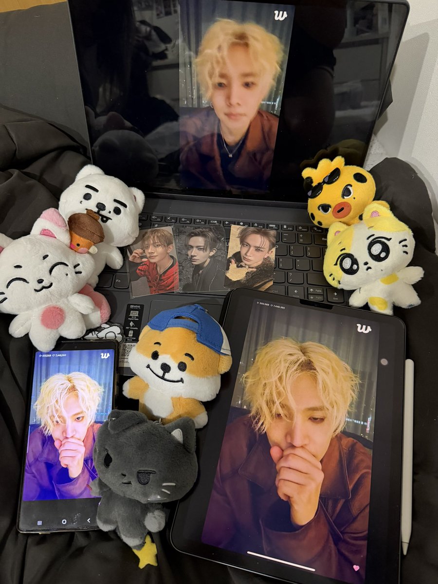키요⋆.ᐟ kiyo 🎶 d-34 evancon tweet media