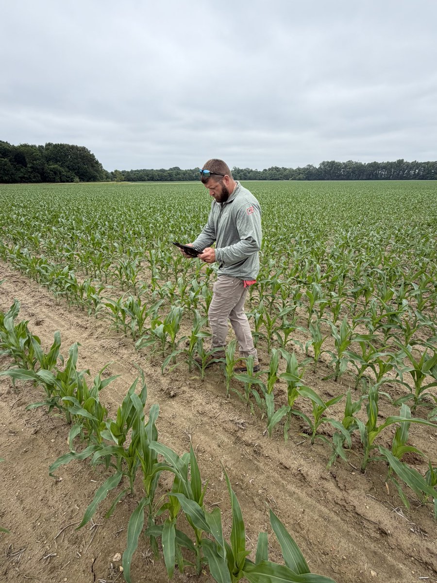 Southern_fs_inc's tweet photo. Southern FS Crop Specialist Zach Sauerbrunn was out checking for cutworm while Precision Specialist Jeremy Harris completed SmartScout runs, all to keep our growers informed and ahead of the game. https://t.co/VJTSE6bXvt