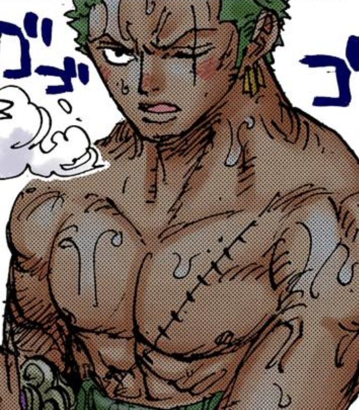 ZORO HQ tweet media