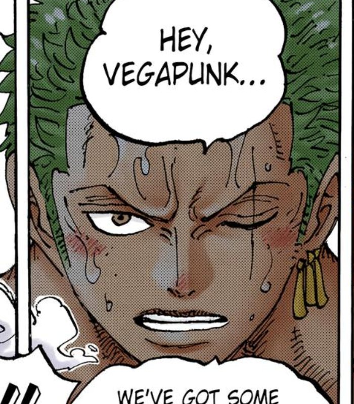 ZORO HQ tweet media