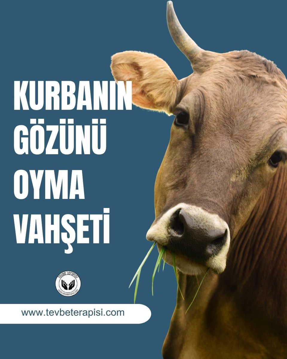 Tevbe Terapisi tweet media