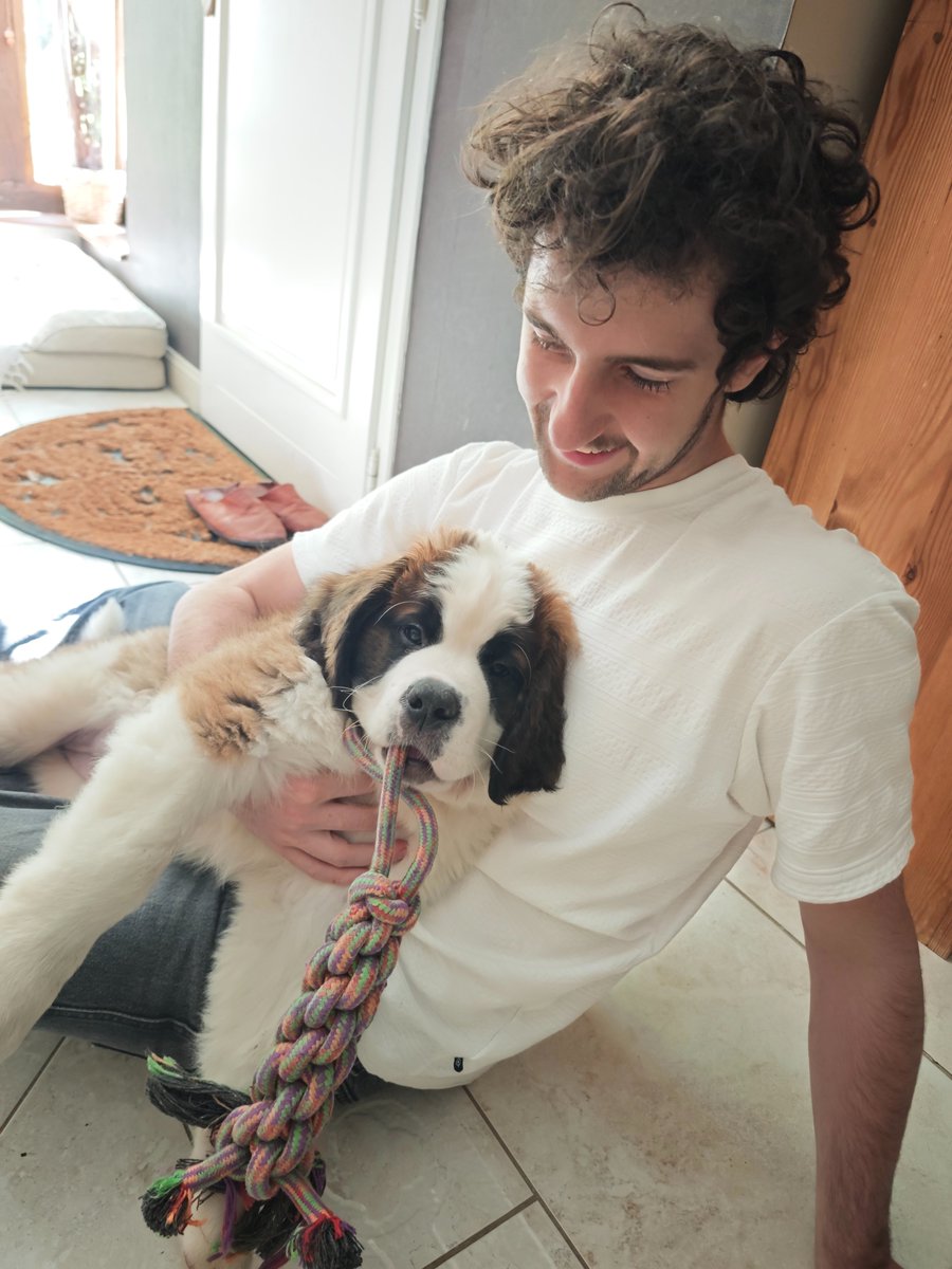 Fanchassain's tweet photo. Voici notre cousine Gervaise elle est belle mais on a pas le droit encore d'aller la voir car elle a pas tous les vaccins la gamine.  Maîtresse lui a offert le jouet de Zébulon parce que nous on s'en fout. On va lui apprendre plein de bêtises. Pissous, Baïkal et Sawyer https://t.co/rx1Z7SGh8X