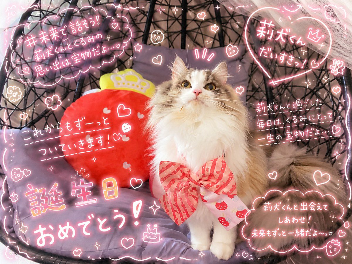 Kurumi tweet media
