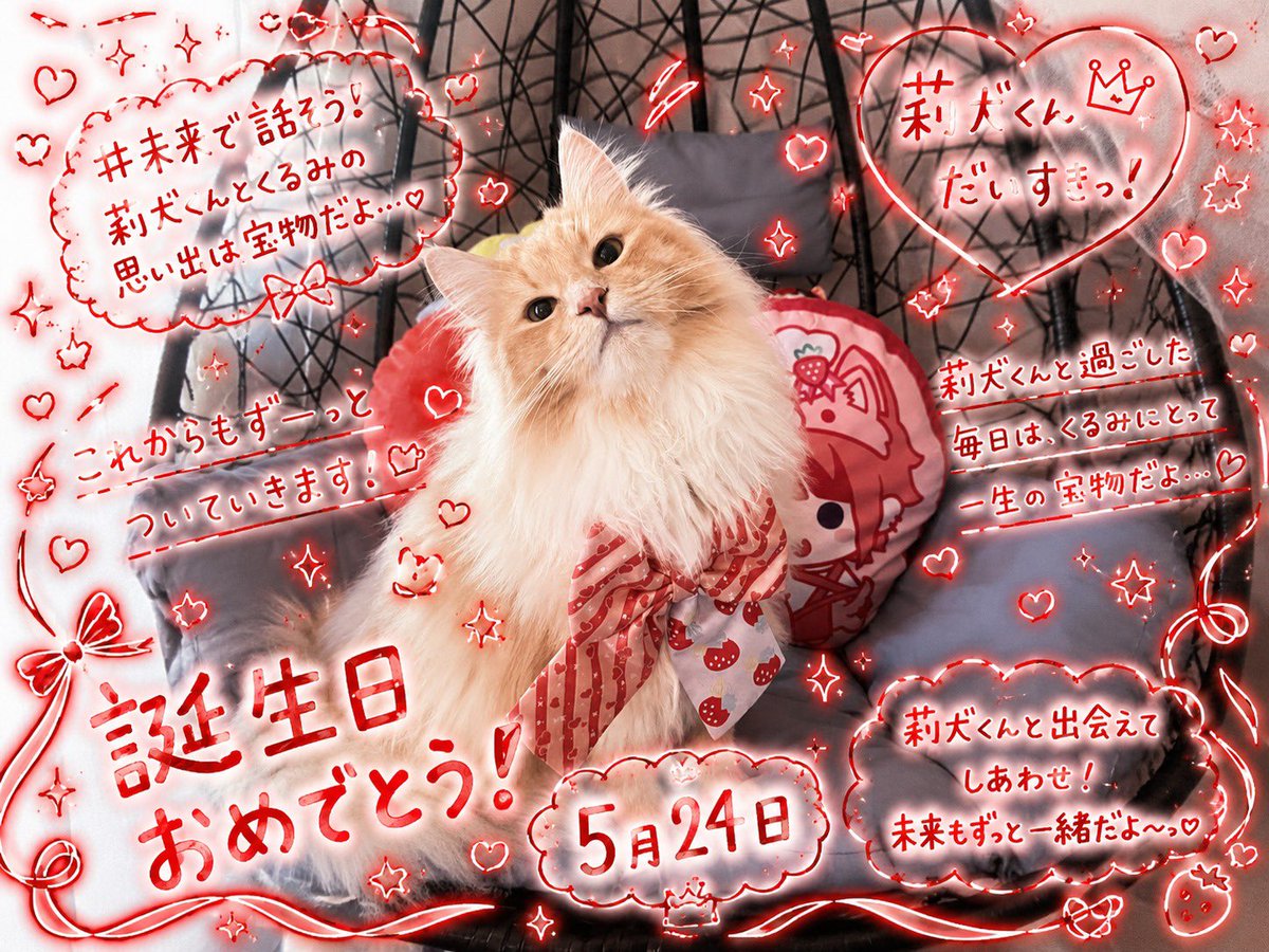 Kurumi tweet media