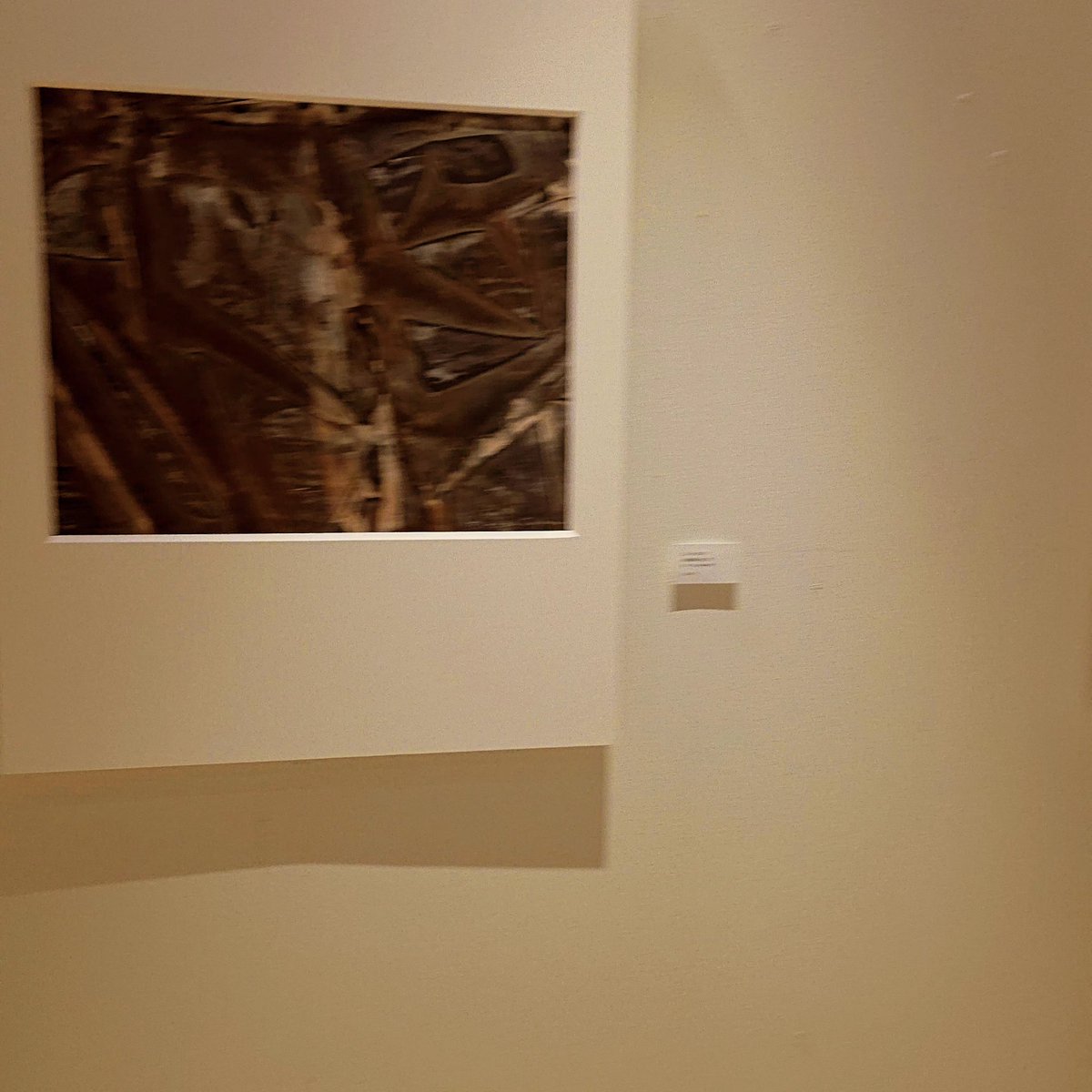 PamKBajaj's tweet photo. Kobe Fashion Museum’s KH Fashion Box just updated its exhibits and it’s wonderfully weird 🖼️ 
Giant papaya? Check. Judgmental pear? Check. Cat in a floral fit? Also check. Half the art looks like a fever dream of Kobe harbor
@Kobe_PRA https://t.co/tC3zX1cSN3