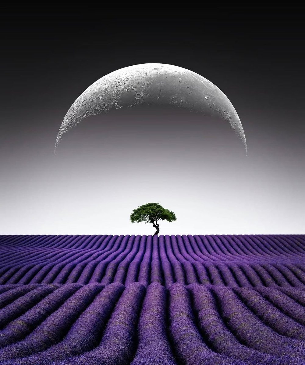 ramblingsloa's tweet photo. Be strong enough to stand alone
Smart enough to know when you need help
And brave enough to ask for it.

Ziad K. Abdelnour https://t.co/iV8ALEiXsR