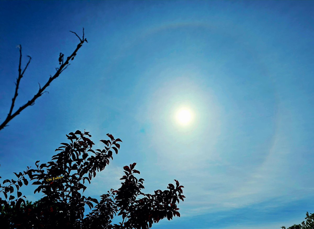 ginfuhrer1's tweet photo. @NickBenderKMBC @JacobLanierWx @fox4wx a sun halo appeared after a couple quick little showers on the west side of our house . . Leavenworth County ~ https://t.co/ZDrf61A070
