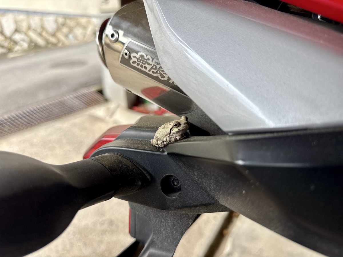 gottu86's tweet photo. SSTRの準備完了🏍️
＃HONDA
＃PC40
＃CBR600RR
＃シュアラスター
＃マジックフォーム
＃無限
＃SSTR
＃バイク乗りと繋がりたい https://t.co/PZMEse3rpZ