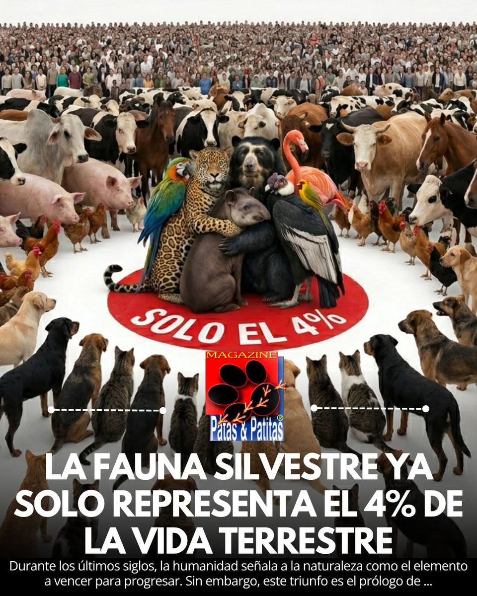 Itzamar Pedreros-Cherbonneau 🕯 tweet media