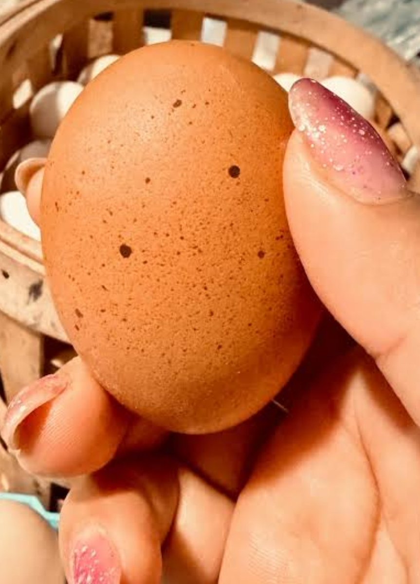 MarxArriaga's tweet photo. ¡Prolepsis... SPOILER!

Se justifican y corren al encargado de las FOGATAS INSURGENTES por sus #PRIANISTAS y #NEOLIBERALES...

¡Así es! La justificación que dan: ¡Yo soy la cacique de la Dirección General de Materiales Educativos en la @SEP_mx y AQUÍ MANDO YO! https://t.co/lacDqNOQco