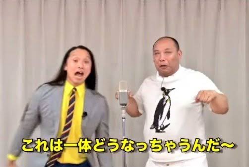 たぬき🍂 tweet media