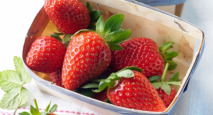 LysGov's tweet photo. The Lys National Fruit is... THE STRAWBERRY
#NationalIdentity #NationalFruit #PrincipalityofLys #Lys #PrinceofLys #Strawberry #Strawberries #Micronation #Principality #Europe #StateCraft #MicroState #CityState #NewNation #Renaissance #LysNationalIdentity #Europe #NewState #Lysene https://t.co/OjCZYCAVPE