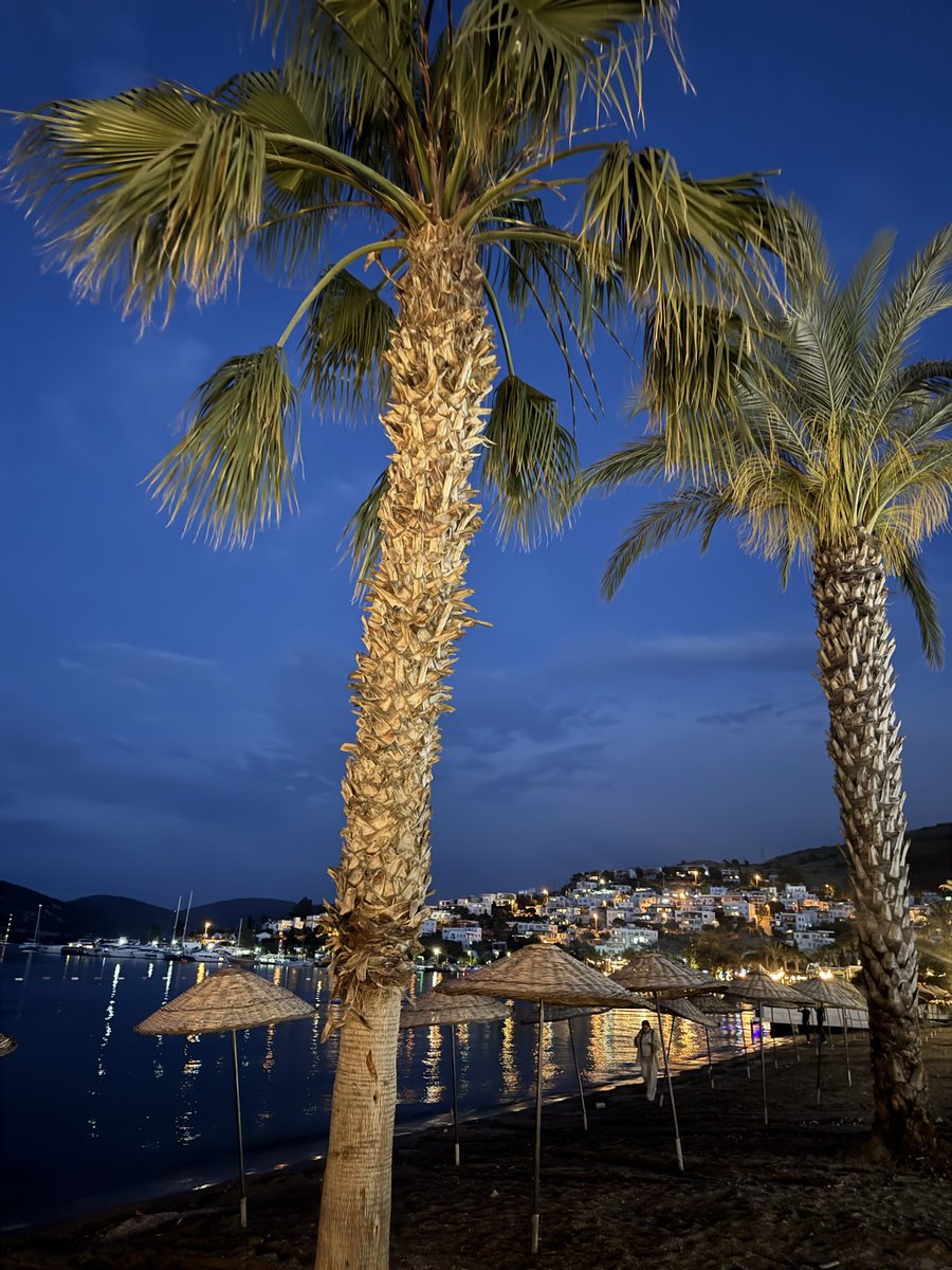 MariaBaylac's tweet photo. Siempre paraiso bodrum https://t.co/ODDdeOGAEu