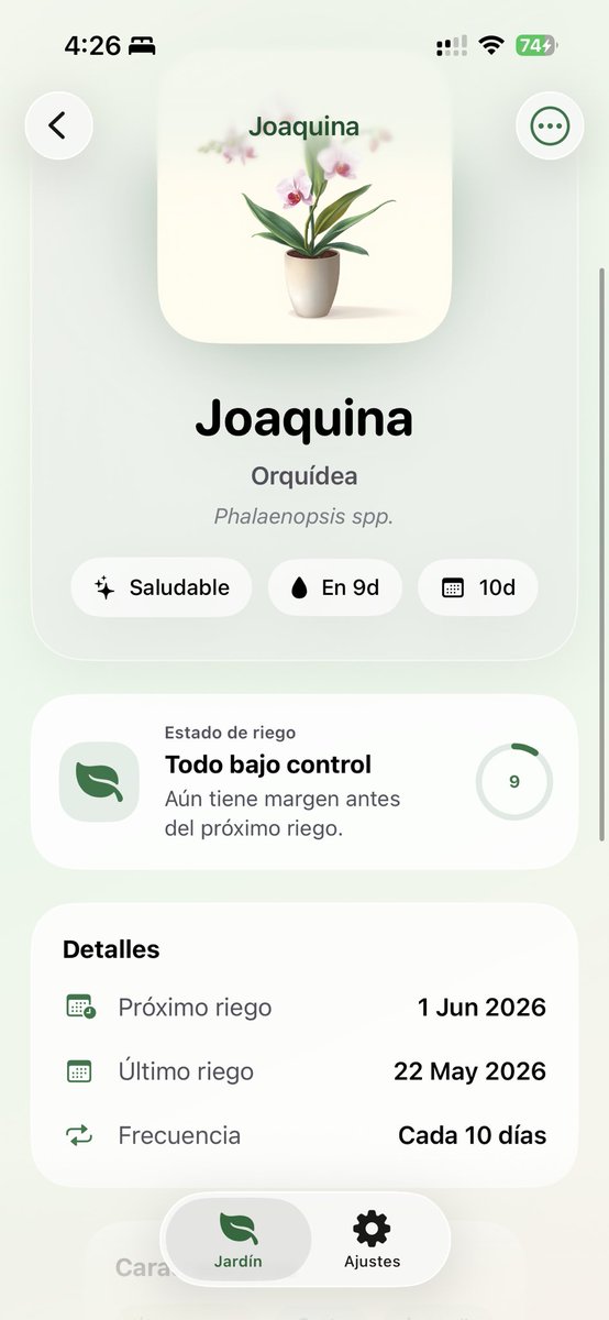 Juan tweet media