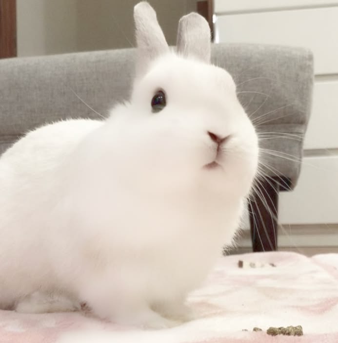lily Ი𐑼 ᵎᵎ 🍳 tweet media