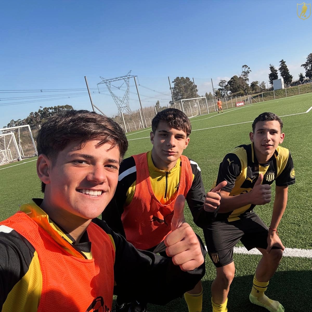 PEÑAROL | Formativas tweet media