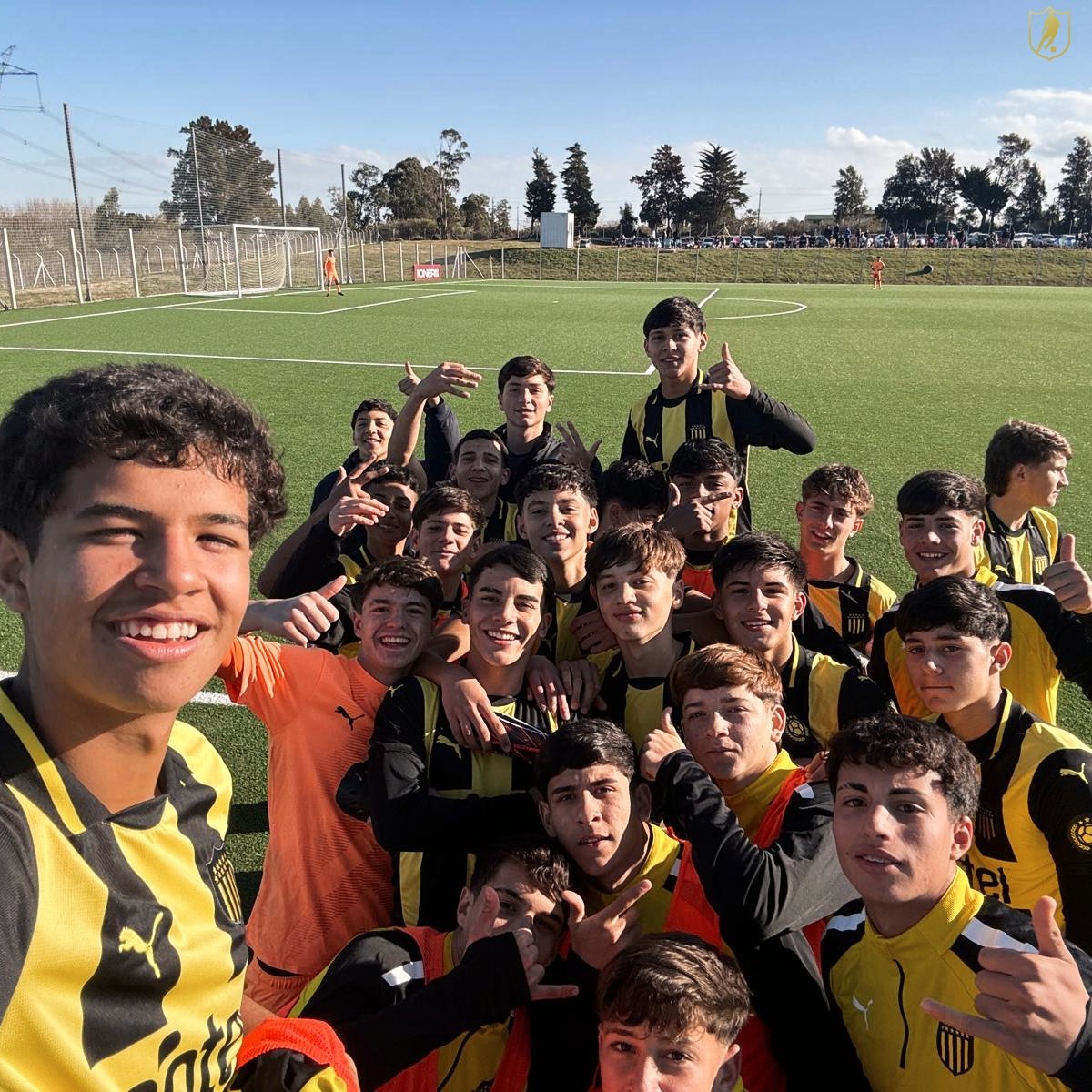 PEÑAROL | Formativas tweet media