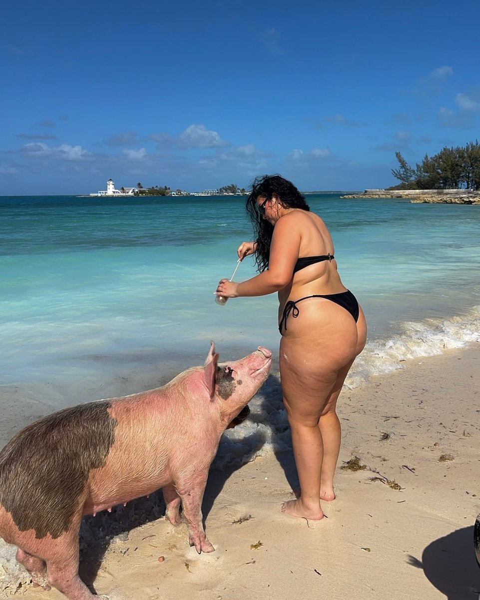 Notapiggyanymore tweet media