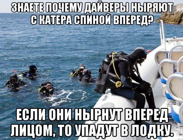 Таечка tweet media