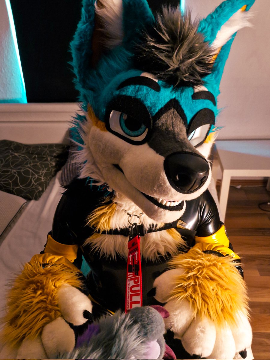 Caution: Jackal in heat! 🔜 AC tweet media