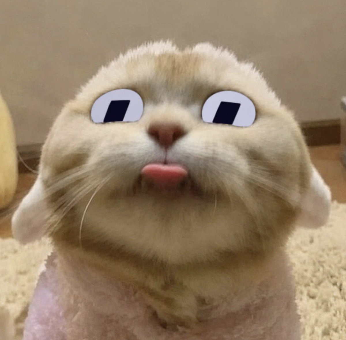 blep tweet media