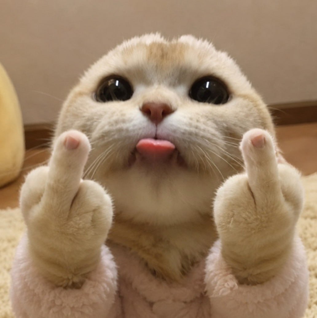 blep tweet media