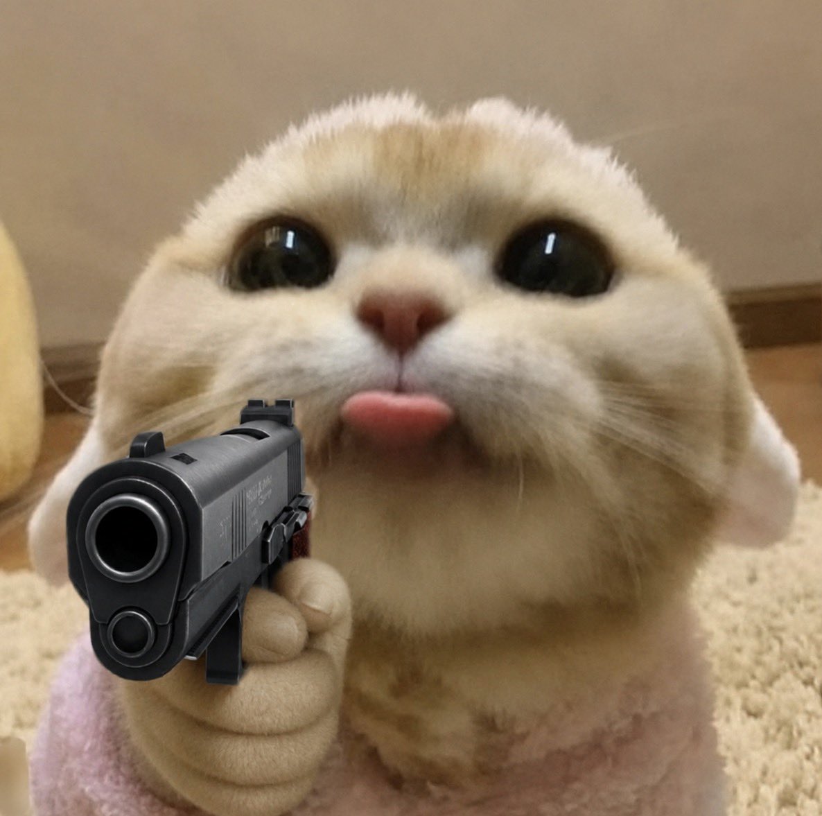 blep tweet media