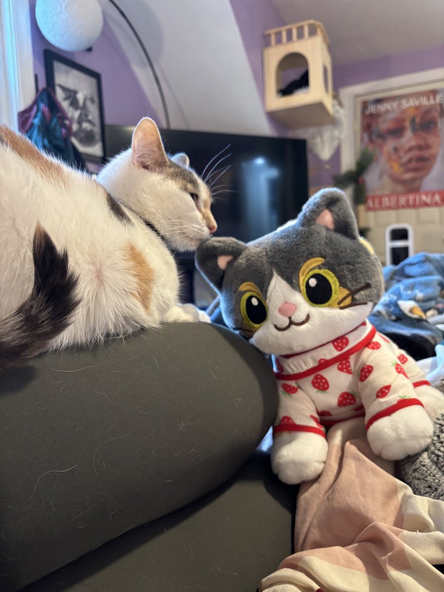 3traderbeobabe's tweet photo. @oreoeocat Gemma is so very excited that her cousin monkey’s plush came! Dilute calico domination! https://t.co/Sl0hZRvEfd
