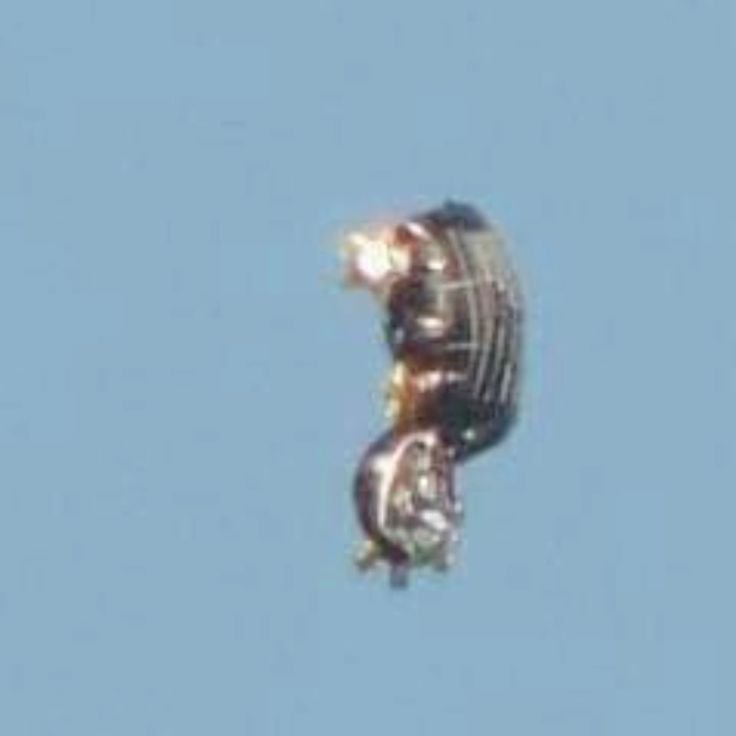 UFO mania tweet media