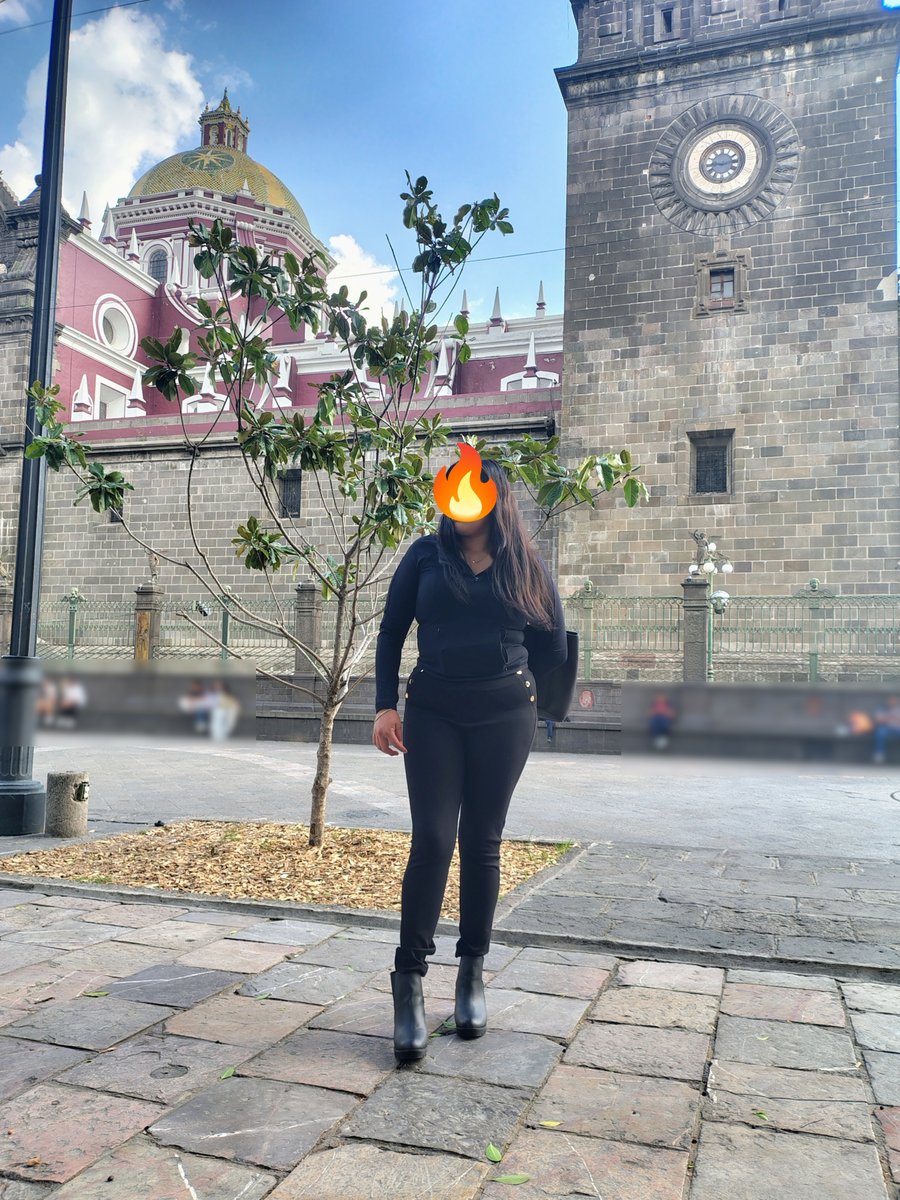 liliana sandoval tweet media
