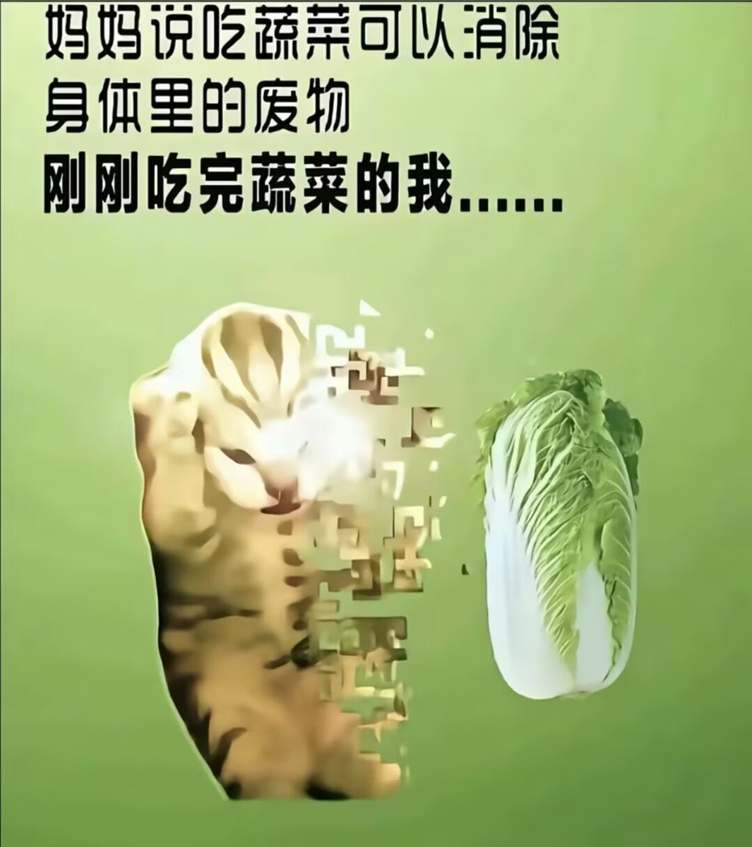 雲鳩 tweet media