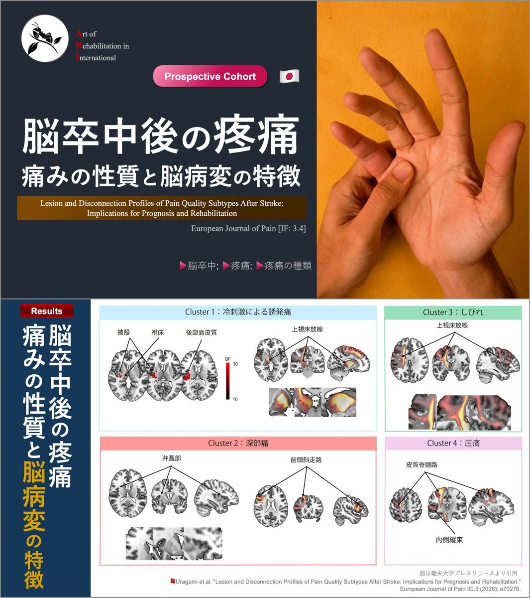 理学療法士_海津陽一 Ph.D. tweet media