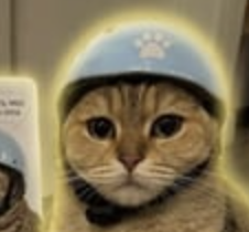 BantsTrades's tweet photo. helmet stays on 

2QFaHCXUJwYs5BZoLoAhXZWojUFa4S36BYS8YtGopump https://t.co/CK1NteSLVo