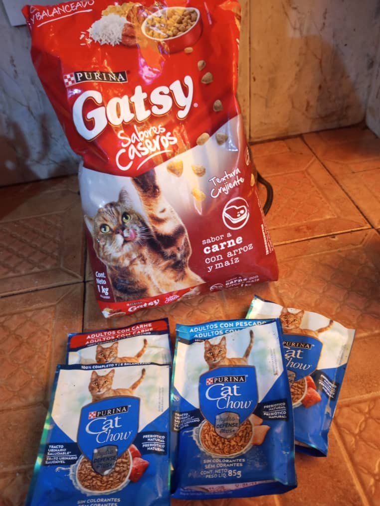 tamarataurina's tweet photo. 🆘 Entre Mancha y Arturo se comen 4 sobres de comida húmeda Cat Chow AL DÍA. No hay bolsillo que lo aguante 💸 ¿Aló, @PurinaVe? Estoy que les pido un donativo o me adopten como embajadora. C/sobre ya me sale en 2.23$ y me tienen a monte.  Los 10 Michis comen al día 1 kg de Gatsy https://t.co/sBky9rvyMt