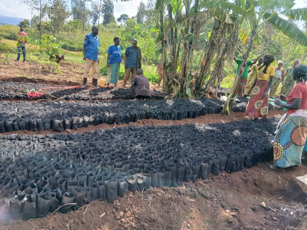 MNindagira's tweet photo. #ZoneNyabikere yo muri #KomineShombo kuri uyu wa gatandatu, itariki 23/5/2026 hateguwe amatuta y’amavoka kugira bayimishe , abenegihugu nabo batere ivoka ruhere maze tuyashore kw’isoko mpuzamakungu igihugu naco kuronka $.
@DorianeMunezero https://t.co/M8QZ5pM0Po