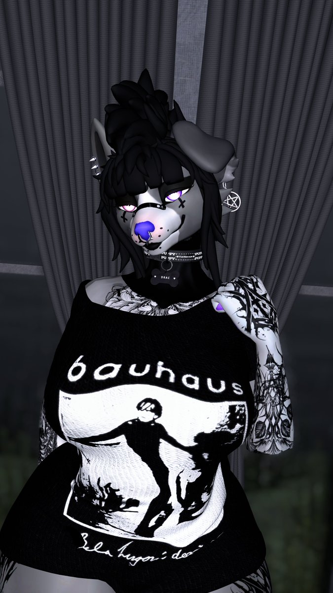 Dracocollievr's tweet photo. Feeling Pretty Goth Today ~ 💜🦇
Tags: #gothvtuber #vr #veki #GothPuppy #goth #foryou #spooky #VTuberになった経緯 https://t.co/v1VgB3WRbp