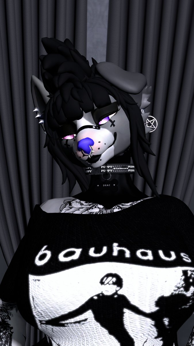Dracocollievr's tweet photo. Feeling Pretty Goth Today ~ 💜🦇
Tags: #gothvtuber #vr #veki #GothPuppy #goth #foryou #spooky #VTuberになった経緯 https://t.co/v1VgB3WRbp